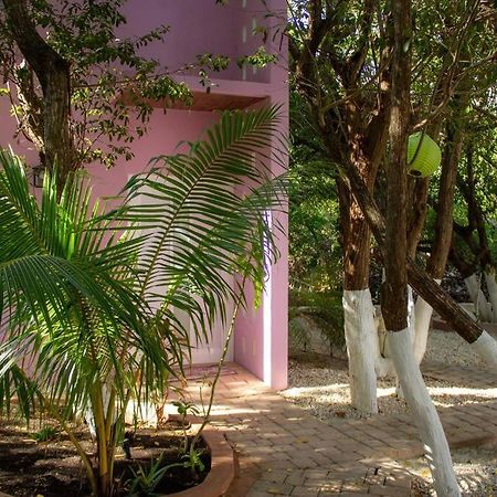 Casa Rosse Villa Tulum Exterior photo